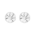 Clear Stone Earrings
