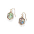 Abalone Hexagon with Gold Trim