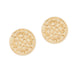 Gold Fern Stud Earrings - Gold