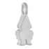 Gnome Charm